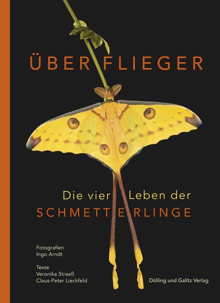 Überflieger - Die vier Leben der Schmetterlinge. Ingo Arndt (DGPh)