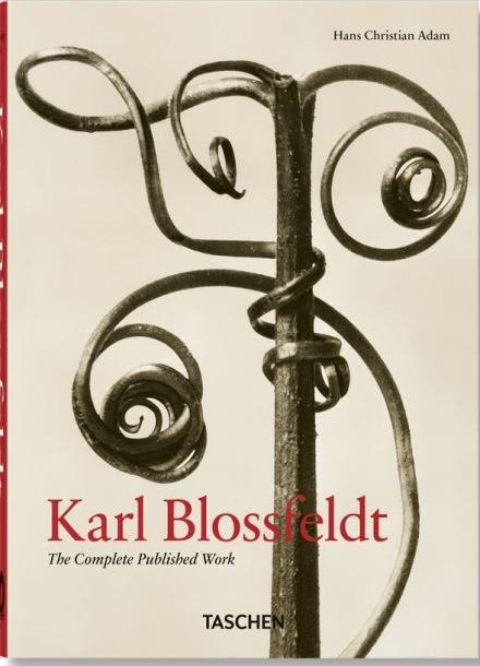 Hans Christian Adam. Karl Blossfeldt - Das vollständige fotografische Werk. Taschen Verlag