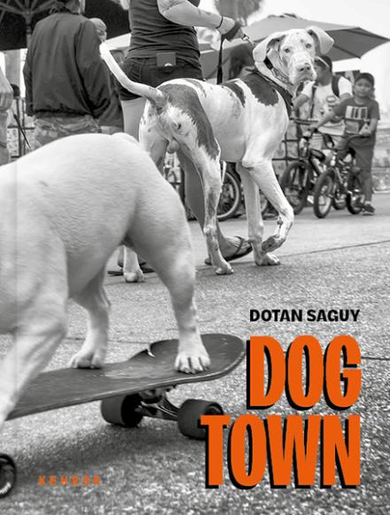 Dogtown. Dotan Saguy