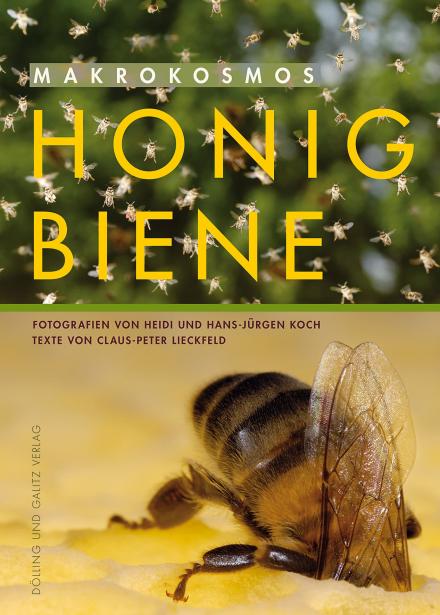 Honigbiene. Heidi und Hans-Jürgen Koch