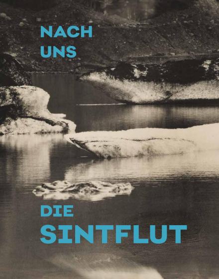 Buchcover "Nach uns die Sintflut"