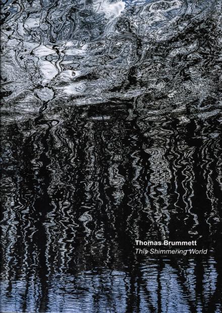 Thomas Brummett: This Shimmering World