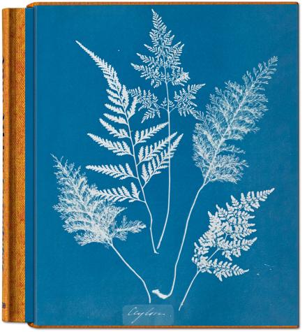 Cyanotypes. Anna Atkins. Taschen Verlag