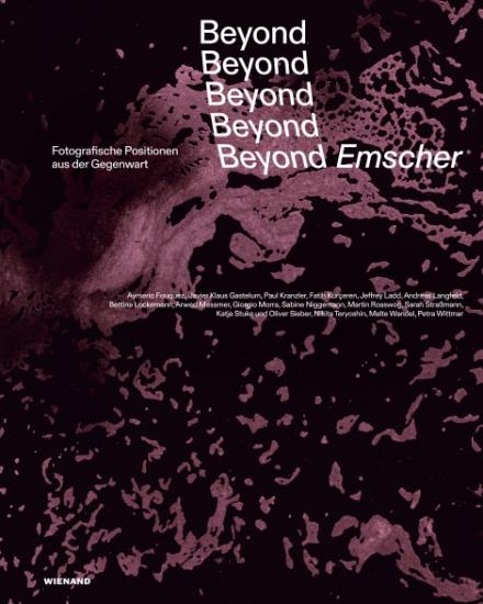 Beyond Emscher. Hrsg. Heinrich Theodor Grütter, Uli Paetzel / Wienand Verlag. 