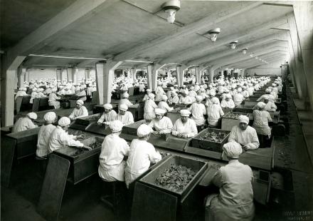 Reemtsma Cigarettenfabriken, Lösesaal, 1928, © SHMH