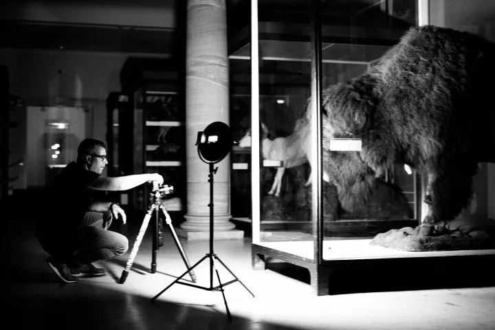 © Florian W. Müller © Florian W. Müller