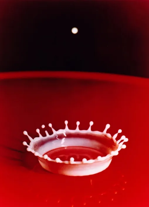 © Harold Edgerton, La goutte de lait, Milk drop coronet, 1957