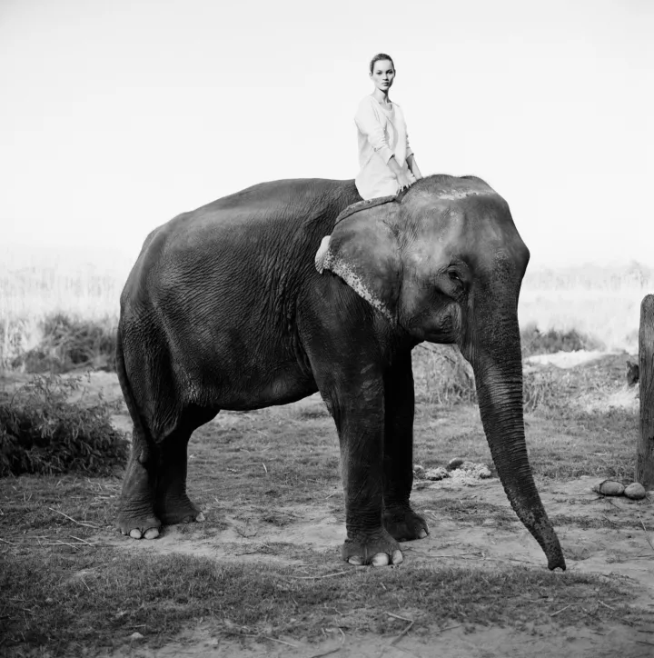 © Arthur Elgort, Kate Moss on elephant, 1994