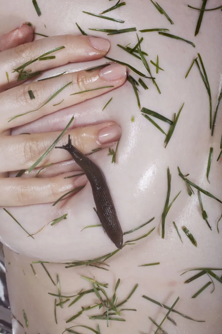  Maisie Cousins, slug, 2015 © Maisie Cousins, Courtesy TJ Boulting