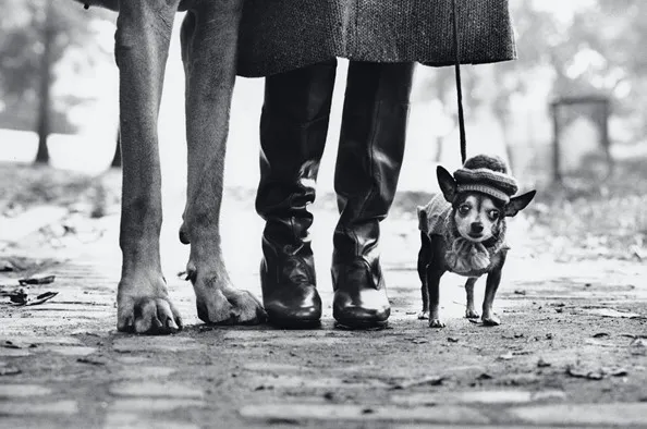 © Elliott Erwitt, MAGNUM PHOTOS