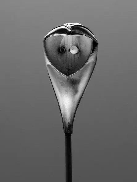© Berthold Steinhilber