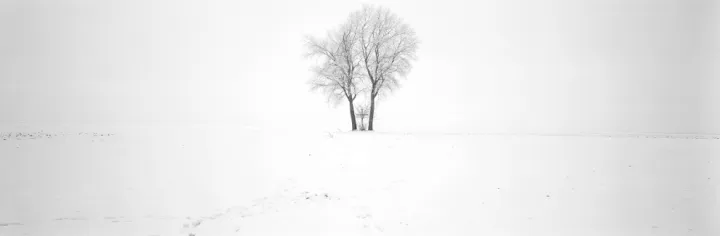 © Wilfried Edelmann, Winterstimmung auf dem Lechfeld Zwischen Untermeitingen und Schwabmünchen, 2026