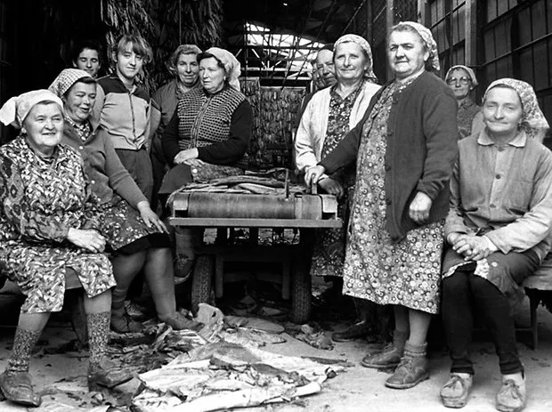 Frauen in der Tabakverarbeitung, 1988 © Gerhard Weber