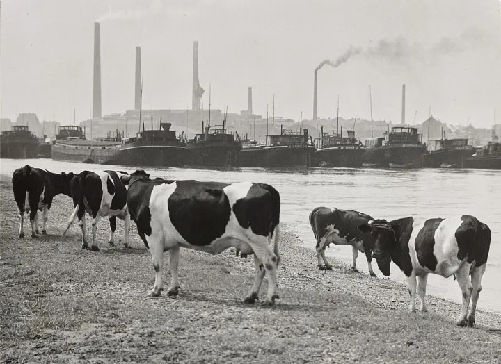 © Albert Renger-Patzsch Archiv / Ann und Jürgen Wilde, Zülpich / VG Bild-Kunst, Bonn, 2024