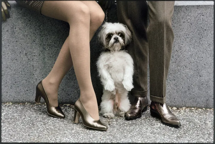 © Elliott Erwitt, New York, 1989 © Elliott Erwitt, New York, 1989