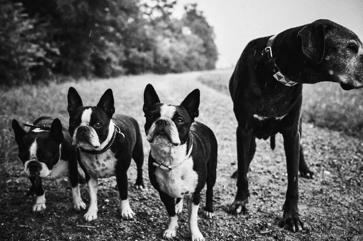 © Bernhard Frei © Bernhard Frei