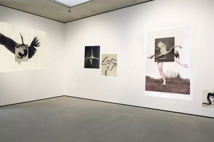 Ronit Porat, Entwurf für eine ortsspezifische Installation in der Ausstellung Arch of Hysteria. Zwischen Wahnsinn und Ekstase im Museum der Moderne Salzburg, 2022, © Ronit Porat Ronit Porat, Entwurf für eine ortsspezifische Installation in der Ausstellung Arch of Hysteria. Zwischen Wahnsinn und Ekstase im Museum der Moderne Salzburg, 2022, © Ronit Porat