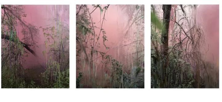 Untitled (Forest 17, 18, 19), 2019 © Sandra Kantanen
