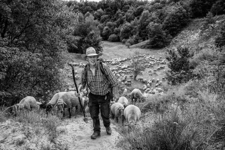 Die aufgelassene, tiefe Kiesgrube bei Böxlund westlich von Flensburg ist ein Naturschutzgebiet, das zu den Beweidungsflächen der Wanderschäferei Kley gehört. Die steilen Hänge sind eine besondere Herausforderung für den Schäfer und seine Herde.