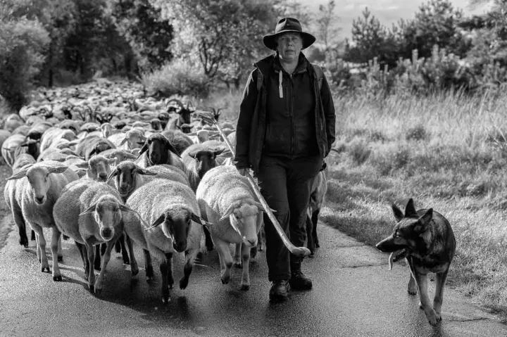 Einzelfoto (Holger Rüdel) : Birgit Voigtländer