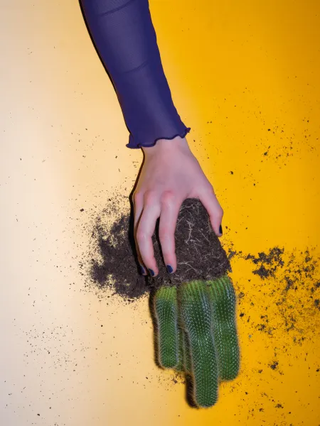 Monde Exposé Cactus 2025 © Frank Schumacher