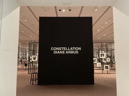 Ausstellung Diane Arbus: Constellation