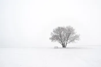 Winterlandschaft © EvgeniT