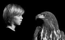 Ein Junge und ein Seeadler schauen sich an, beide im Profil