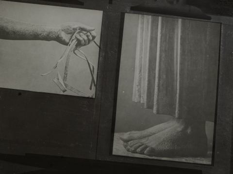 A Collection of Valuable Copies, 2025 - ongoing, © Samuel Solazzo (in Kooperation mit der Gipsabguss-Sammlung des Antikenmuseums der Universität Leipzig)