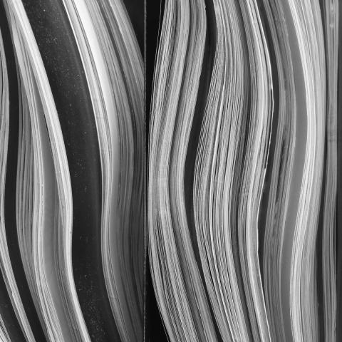 August 13, 2017, 10:45 a.m. © Kathy Ryan