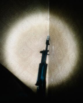 © Elliott Kreyenberg