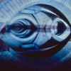  Blue Infinity © 1992 Peter Seidel 