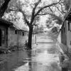 Xu Yong, Liuxiang Hutong, 1989 © Xu Yong, courtesy of Galerie Julian Sander