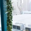 Wolfgang Tillmans, San Francisco Still Life, 2023 © Courtesy of Galerie Buchholz; David Zwirner, New York; Maureen Paley, London