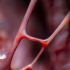 aus der Serie: frozen blood, 2026